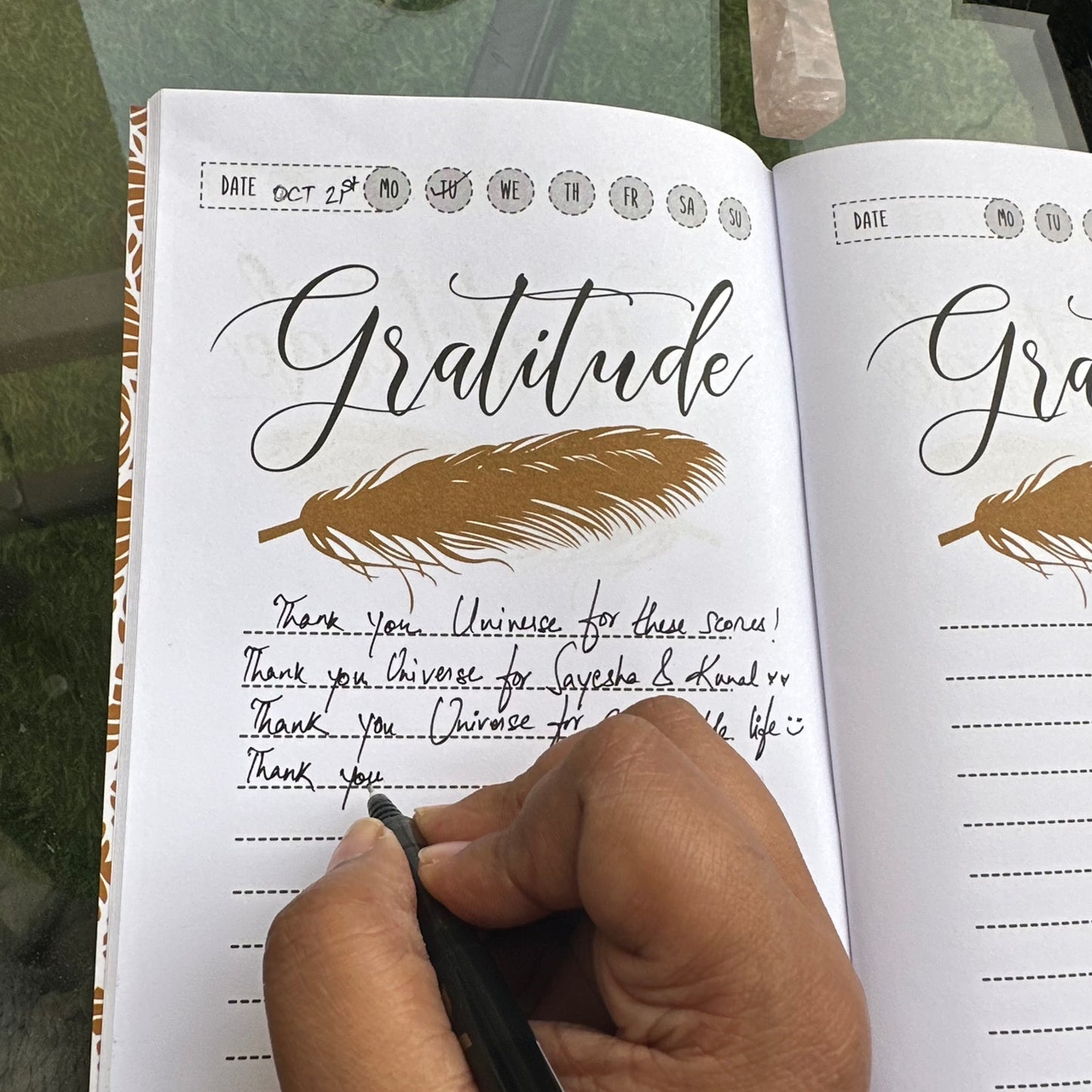 Gratitude Diary (Golden Feather)-For Positivity and Calmness