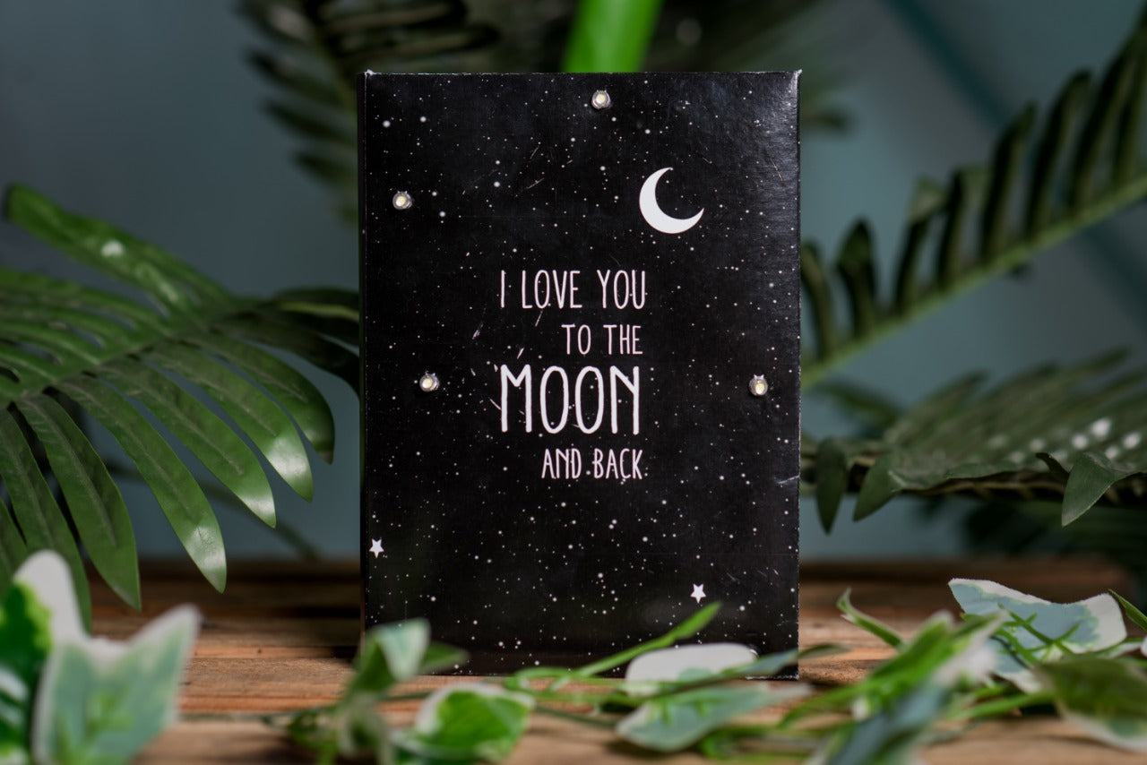 I Love You To The Moon