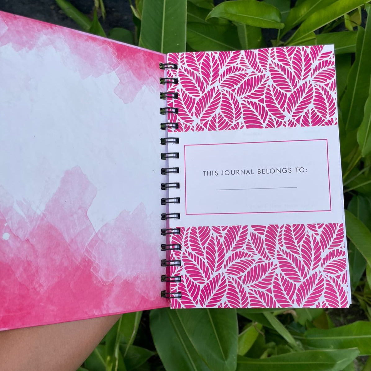 My Gratitude Journal Diary